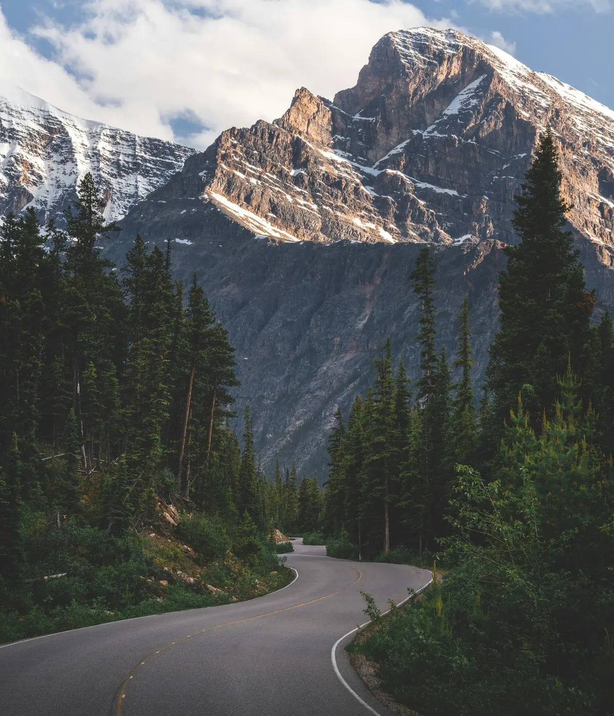A winding road through the forest and mountains of the Canadian Rockies